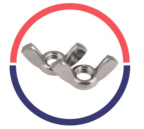 Stainless Steel ASTM F594 Wing Nuts