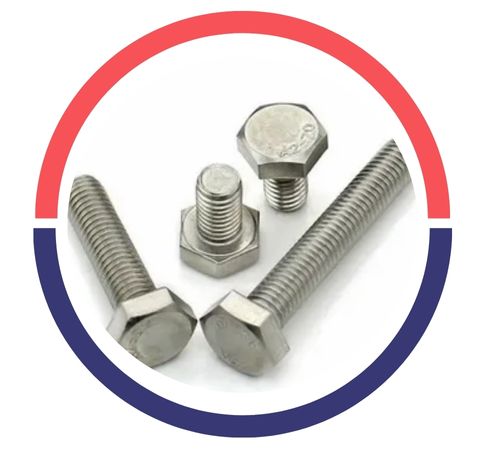 SS Hex Head Bolts