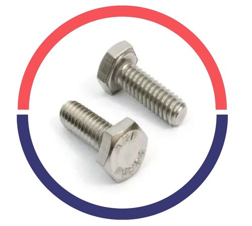 SS Hex Head Bolts
