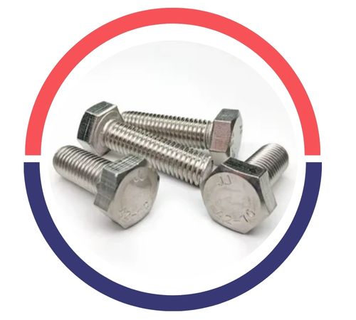 316 SS Hex Bolts