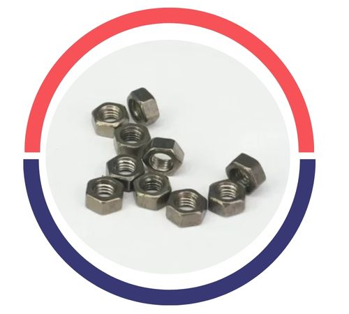 Gr 2 Ti Hex Head Nuts